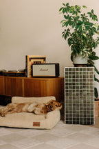 Canapé pour chien beige, panier orthopédique et confortable
