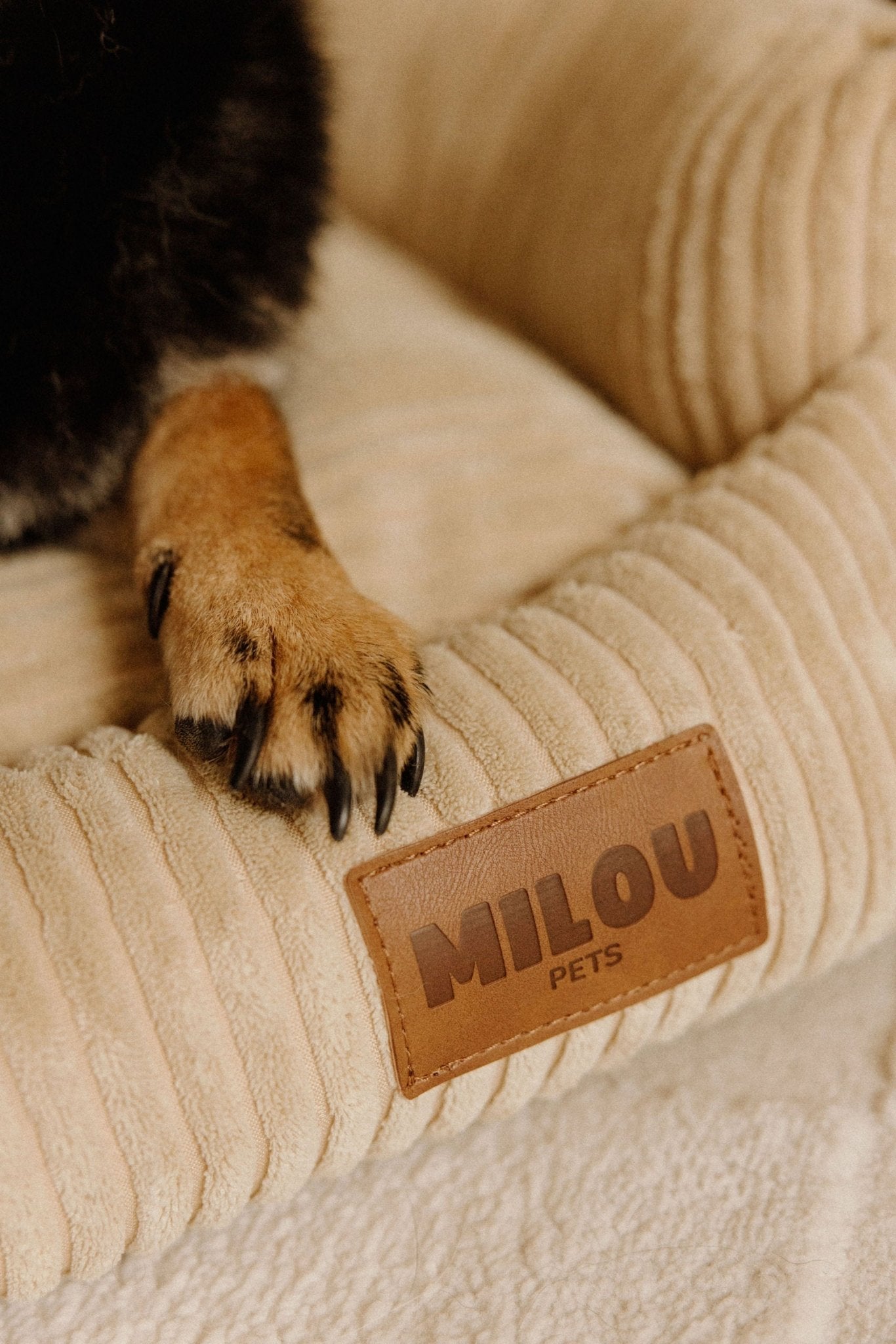 Canapé pour chien en velours côtelé beige clair