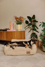 Canapé pour chiens orthopédique en velours côtelé beige