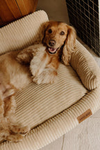 Panier pour chiens confortable, chic et durable