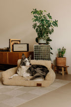 Canapé pour chien confortable et chic, 100% matières recyclées