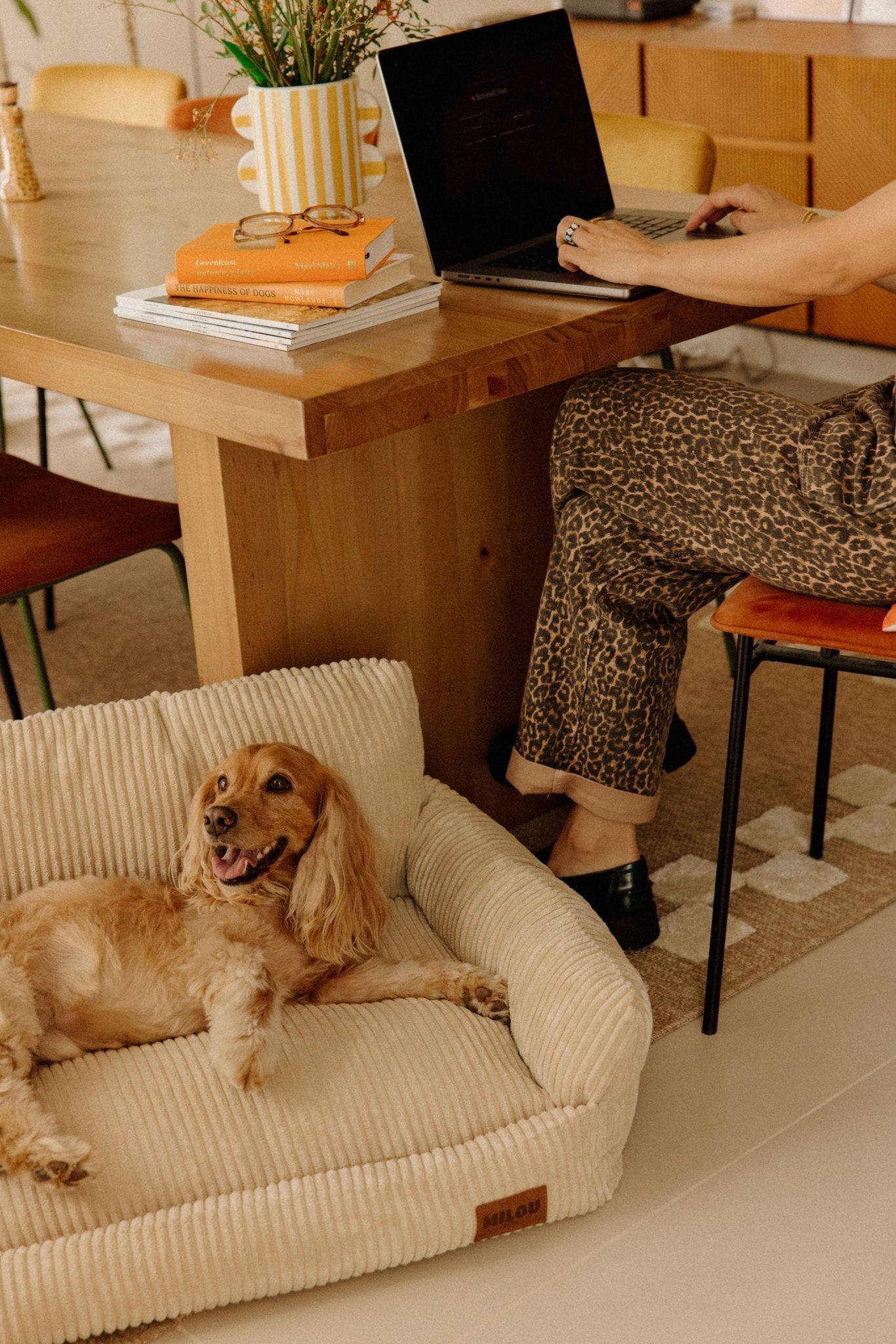 Canapé pour chiens beige en velours côtelé