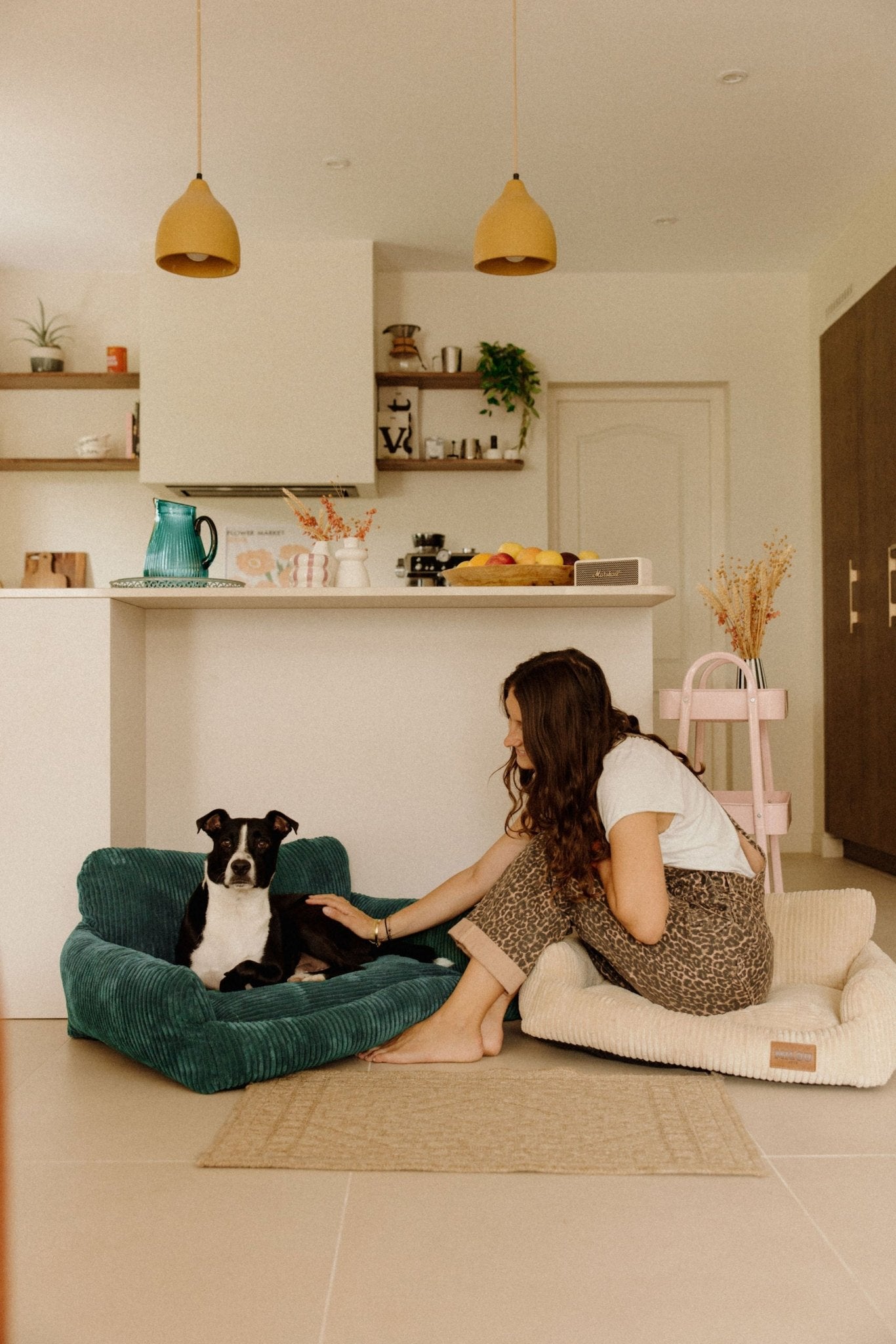 Panier pour chiens confortable, chic et durable