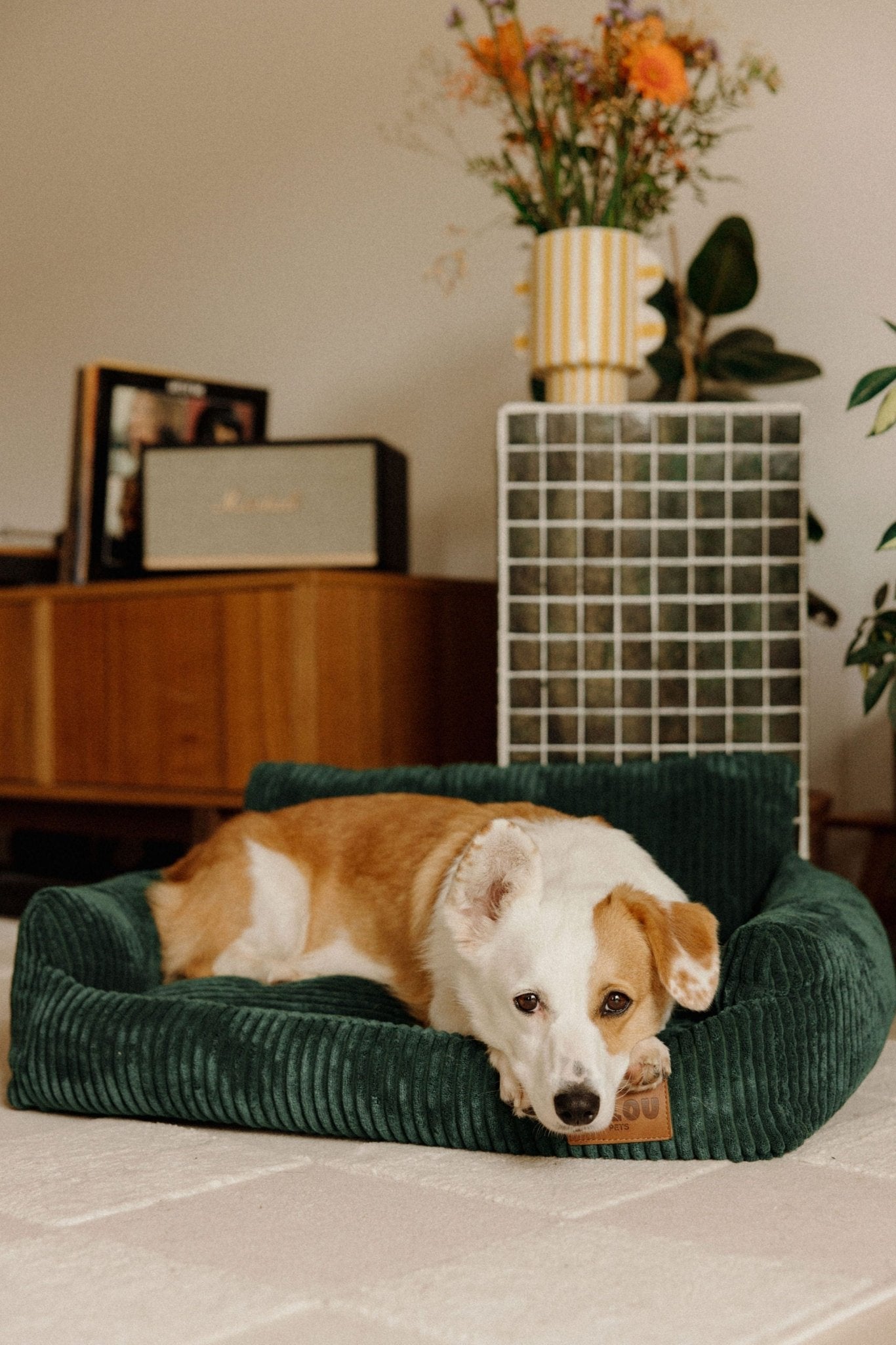 Canapé pour chien confortable et chic, 100% matières recyclées