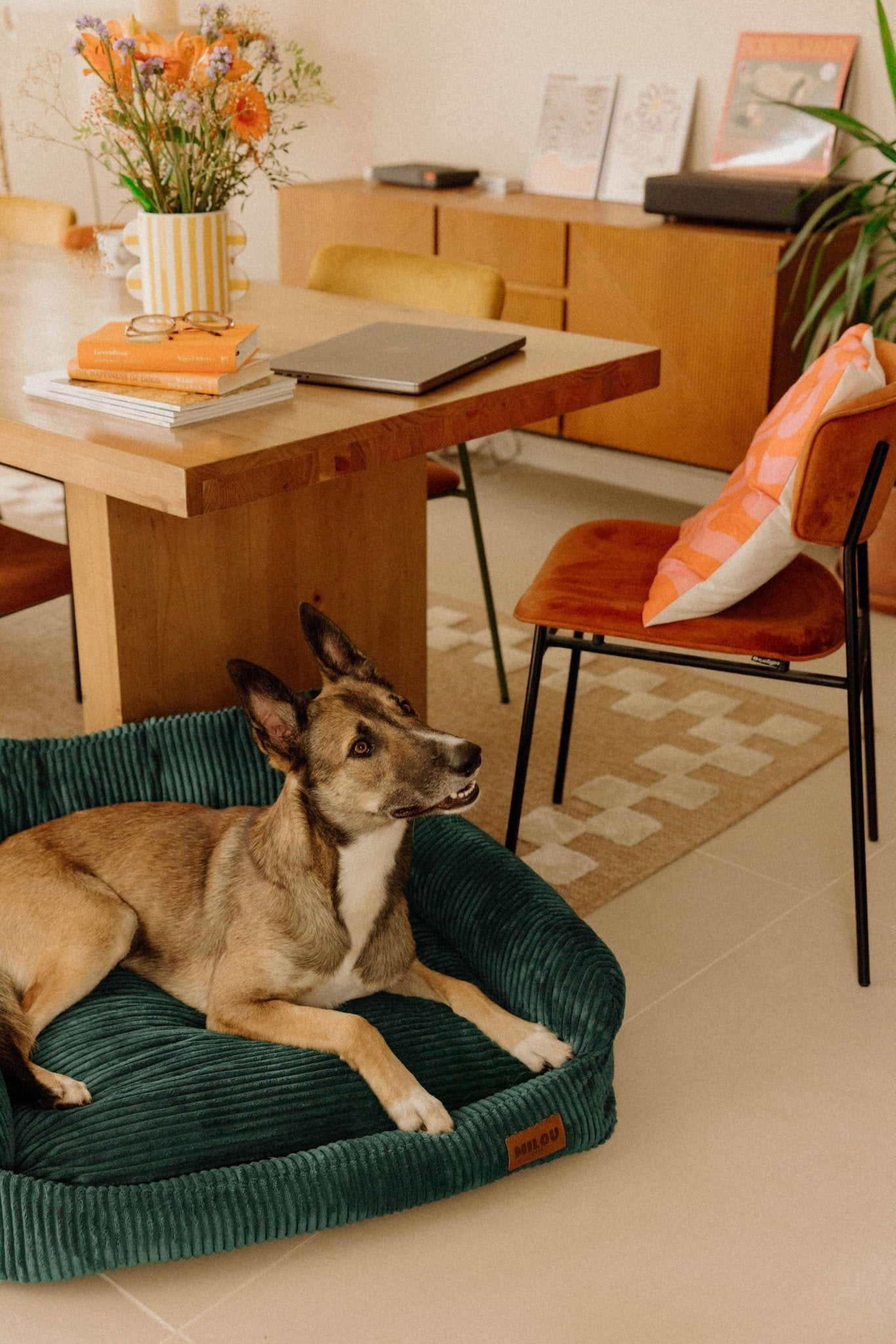 Panier pour chien vert sapin, velours côtelé et orthopédique