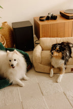 Canapés pour chiens confortables, design et durables