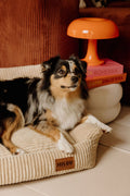 Canapé Simone - Sable - Classique (M) - 73 x 62 x 28 cm - Milou Pets