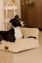 Panier pour chien beige en velours côtelé, confortable et durable