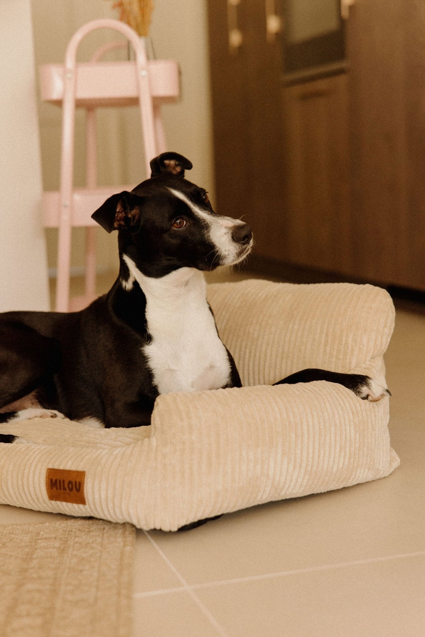 Panier pour chien beige en velours côtelé, confortable et durable
