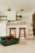 Canapé Simone - Sapin - Classique (M) - 73 x 62 x 28 cm - Milou Pets