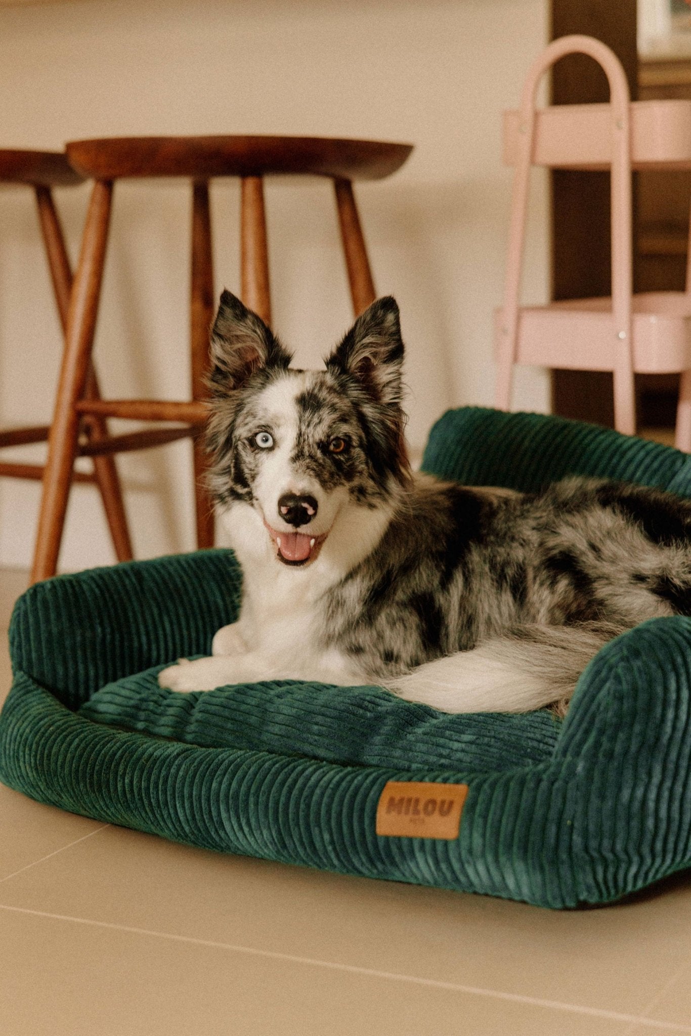 Panier pour chien en velours côtelé, confortable et durable