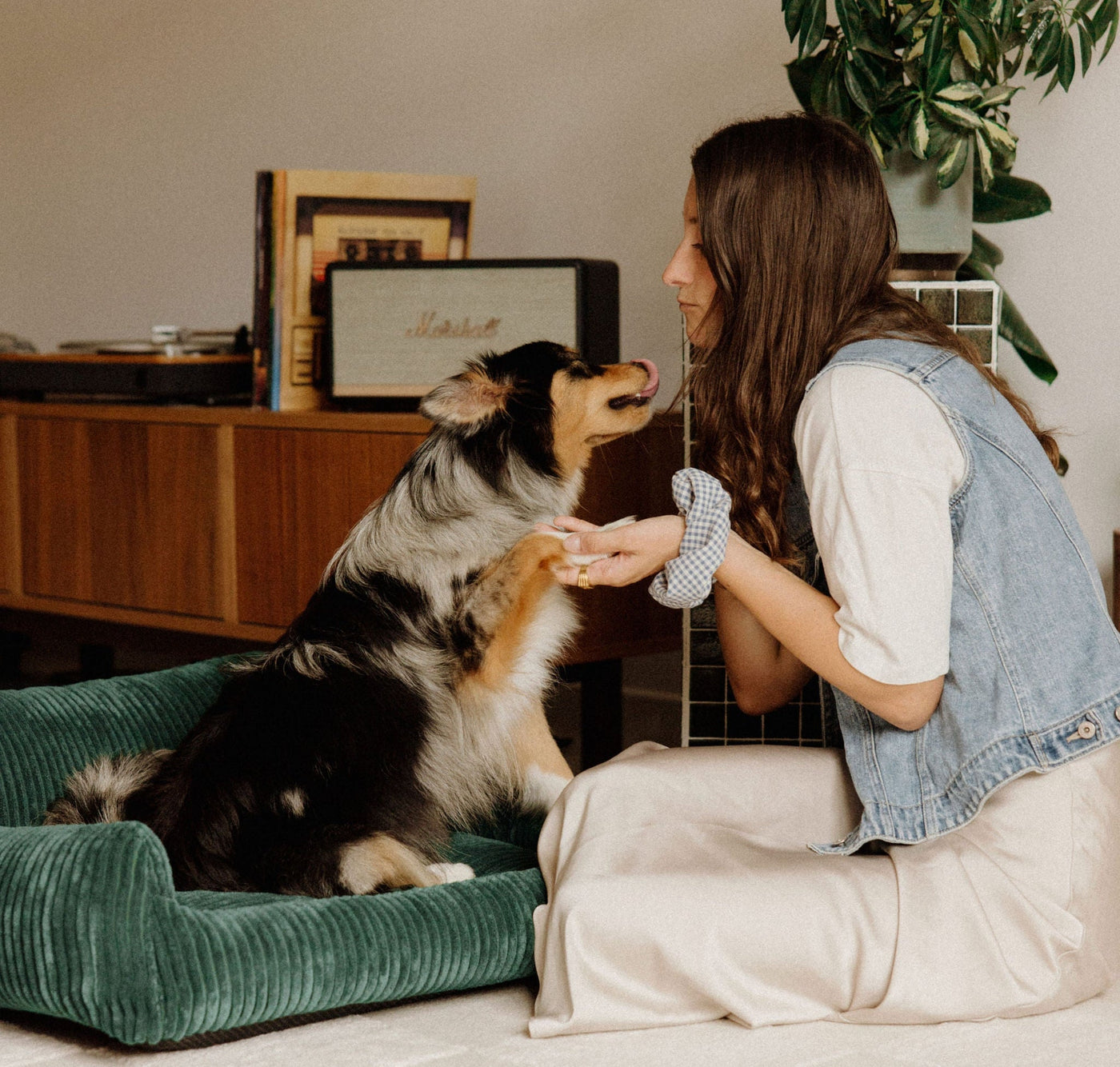 Paniers pour chiens orthopédiques en velours côtelé