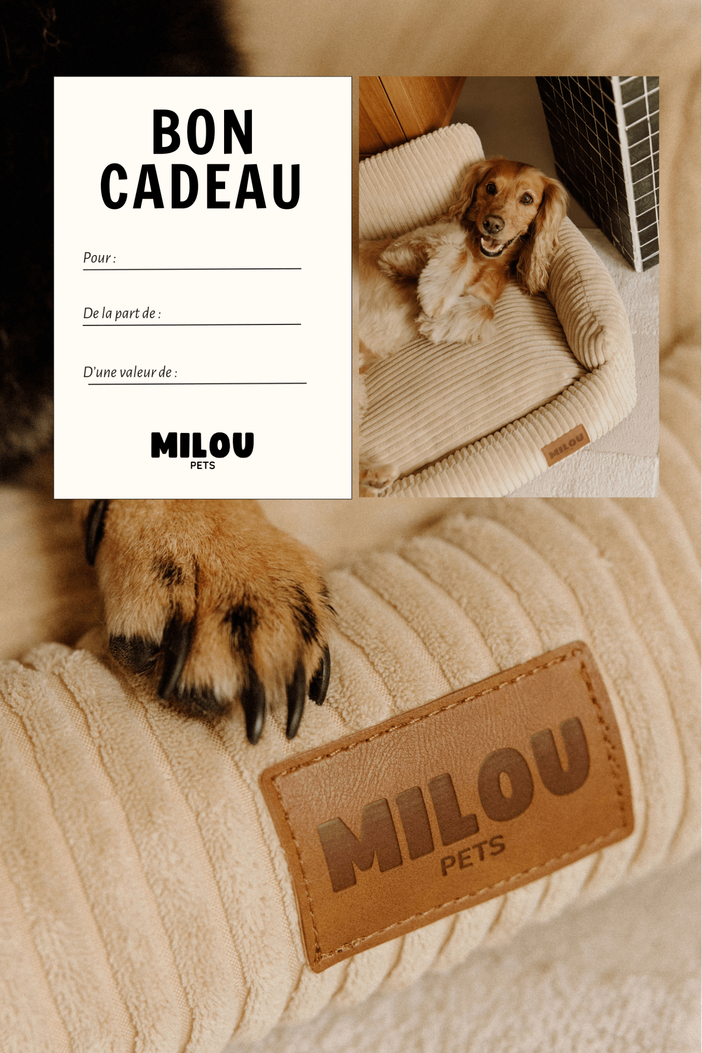 Carte Cadeau - €50.00 - Milou Pets