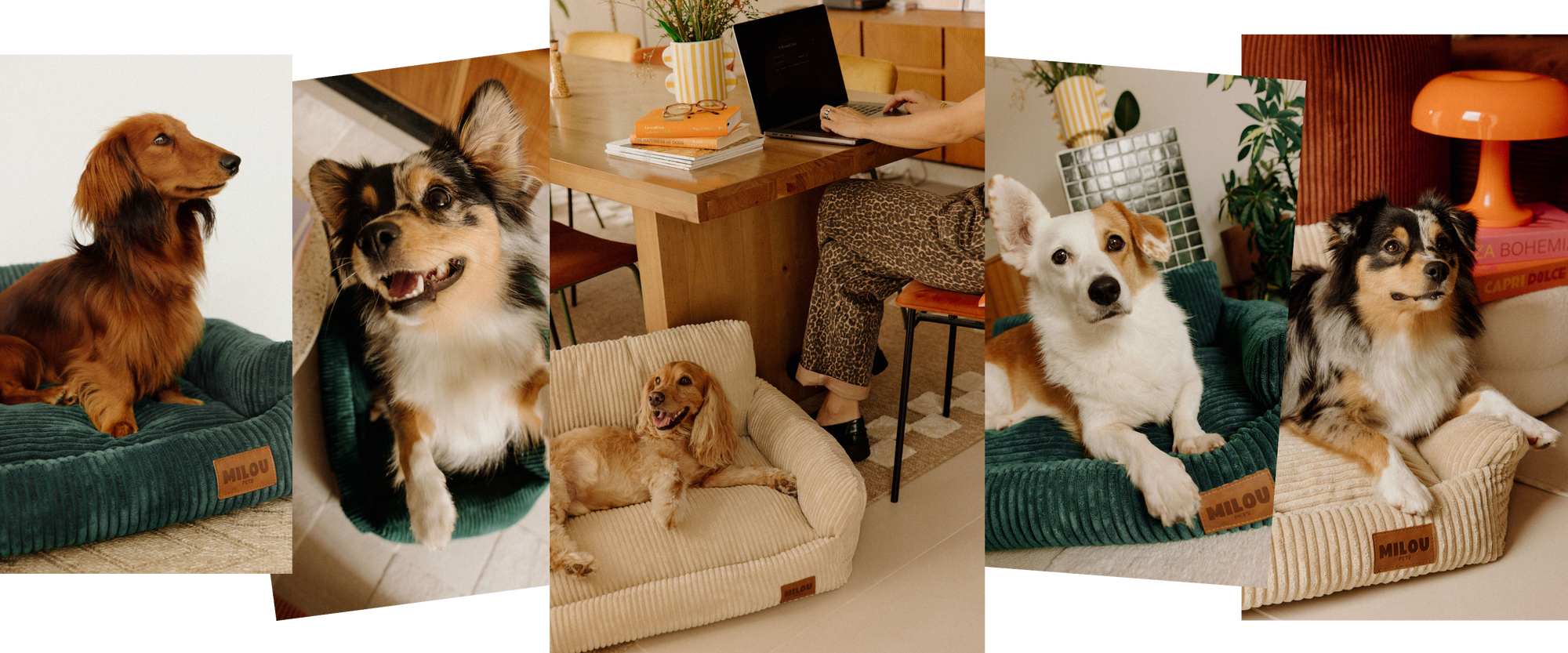Paniers pour chiens en velours côtelé durable
