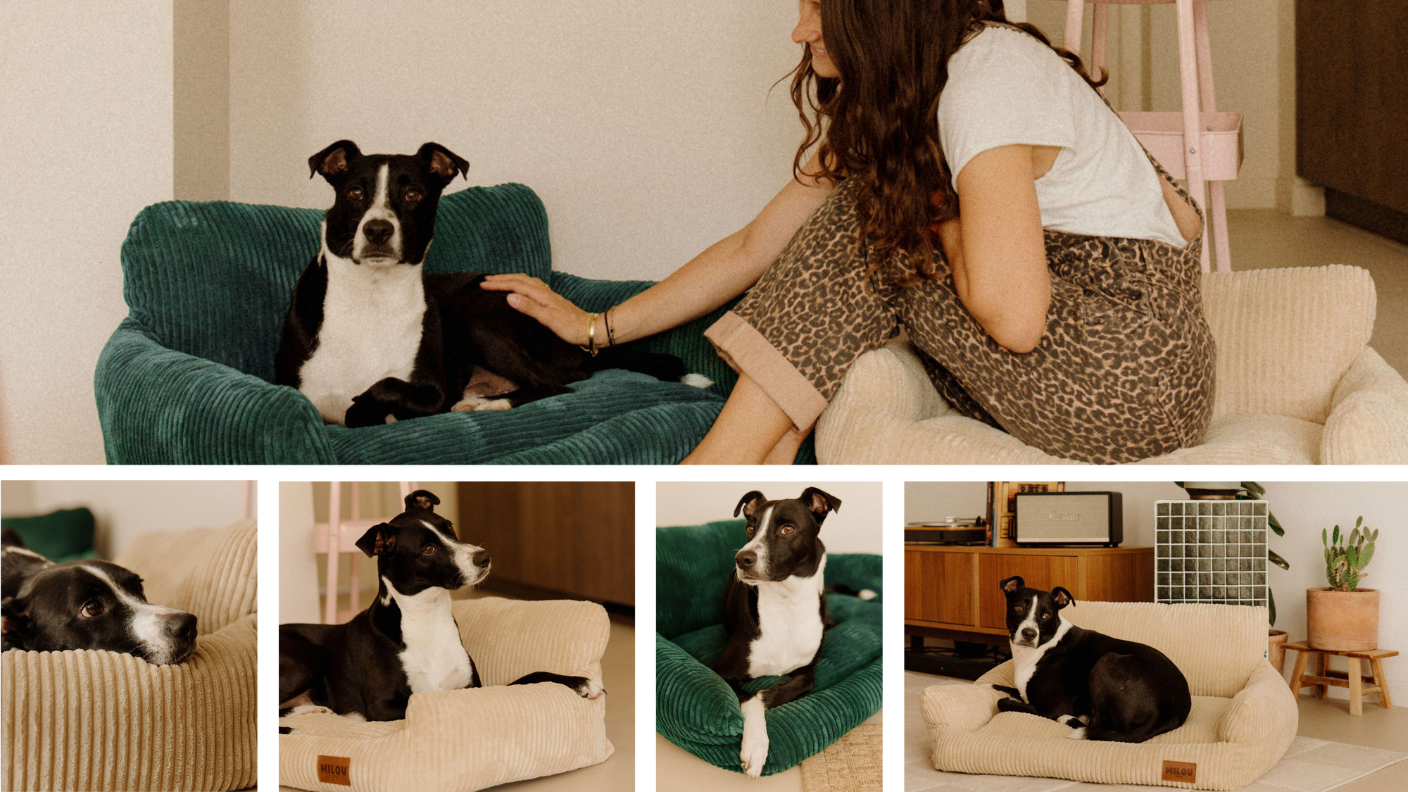 Paniers pour chiens confortables et déhoussables
