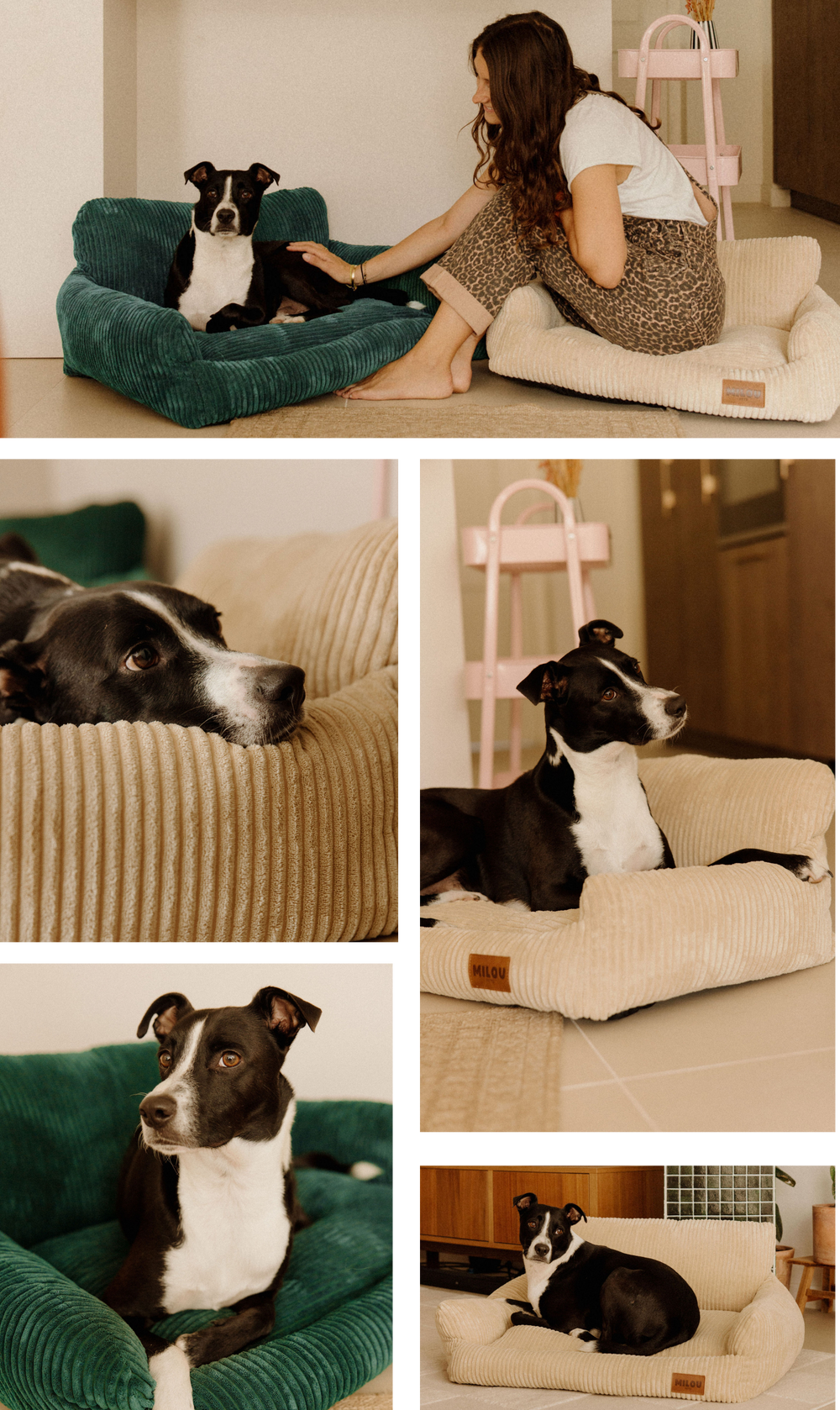Canapés pour chiens confortables et durables