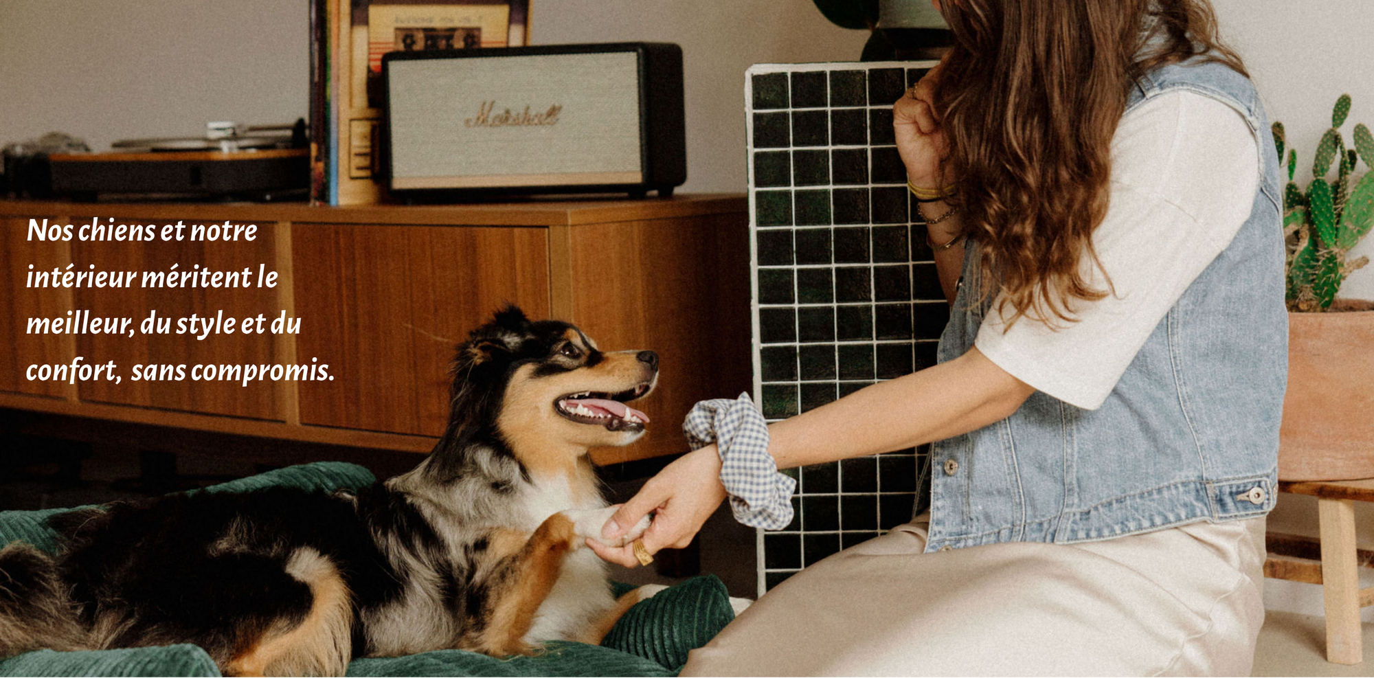 Canapés pour chiens durables et design