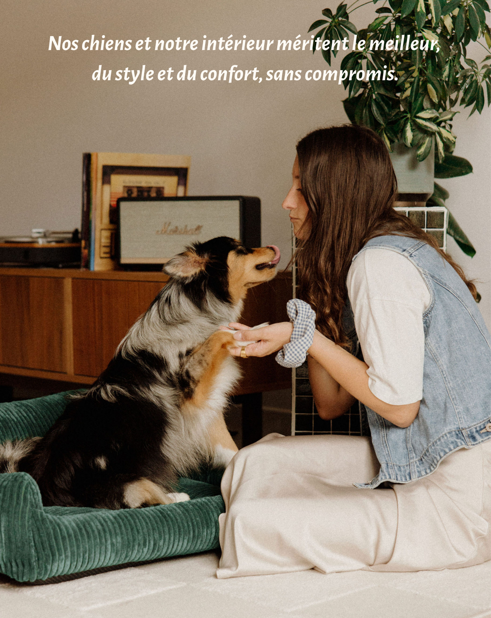 Canapés pour chiens orthopédiques et chic